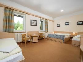 Horský Hotel Jelínek，位于贝德日霍夫的酒店