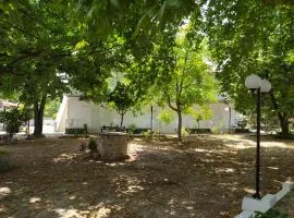 Avli Studios