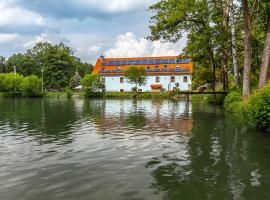 Penzion Bačalsk&yacute; ml&yacute;n，位于Mora&scaron;ice的Spa酒店