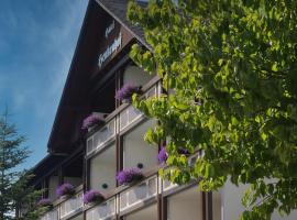 Landhotel Henkenhof Willingen，位于维林根Usseln的酒店