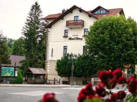 Hotel Bitoraj Fužine，位于弗济内的无障碍酒店