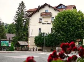 Hotel Bitoraj Fužine