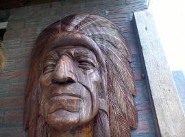De indiaan，位于诺德施华伍德Museum Broeker Veiling附近的酒店