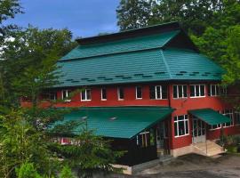 Hotel/Restaurant Dealu Hera，位于Rona de Sus的酒店