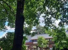 Pension Im Rehwinkel