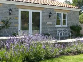 Littlemead - Newly renovated private studio near Glastonbury