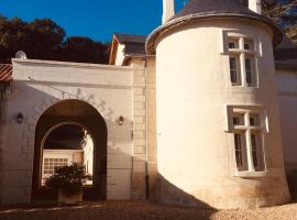 Apartment in a working winery with private rooftop terrace，位于Marigny-Brizay的酒店