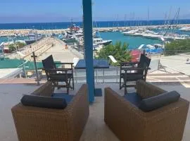 Latchi Marina Top View