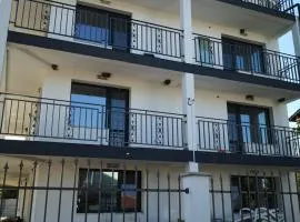 Weißer Schwan Белият лебед