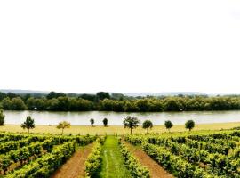 Rheinblick Hattenheim Boutique Art Gästehaus，位于哈滕海姆的酒店