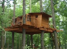 Treehouse v Brdech