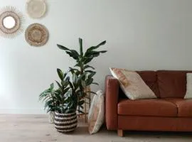 Cosy Tiny House 5 min walk Keukenhof included entrance keukenhof