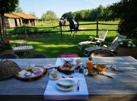 Casa Leone near Bruges with jacuzzi & parking，位于拉德沃迪的酒店