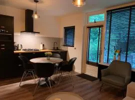 Rode Eekhoorn: genieten met de dieren in het bos!