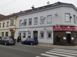 Pension Lizzi，位于维也纳的酒店