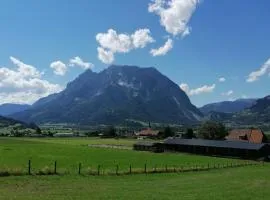 Ferienwohnung - Apartment Pichlarn Irdning