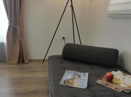 Apartman Centar，位于Aleksandrovac的酒店