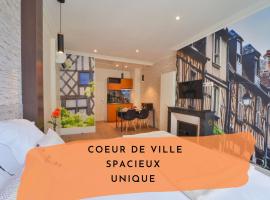 Puits de Jouvence, au coeur des commerces，位于布尔日的酒店