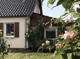 Agroturystyka pod jeleniem