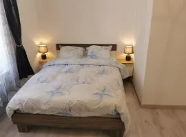 Le 29