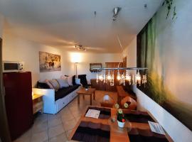 Residenz Schauinsland, ganzes Appartement, Sauna，位于托特瑙的酒店