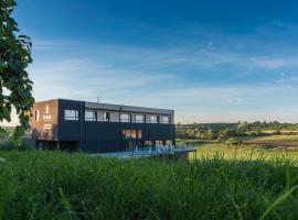 Boutique Hotel Vinařství Škrobák，位于捷伊科维采的酒店
