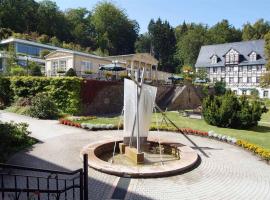 Rehaklinik Thermalbad Wiesenbad，位于维森巴特温泉的酒店