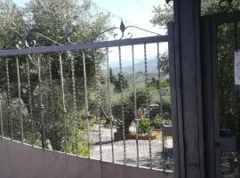 La casa tra gli ulivi di Fonte Nuova 2