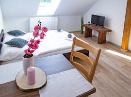 Apartmány Kurojedy，位于Bor的酒店