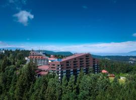 Poiana Brasov Alpin Resort Apartment，位于波亚纳布拉索夫的酒店