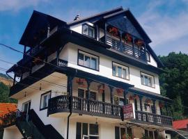 Motel Cerna，位于巴亚斯普列的酒店