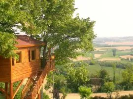 Casa sull'Albero Aromantica