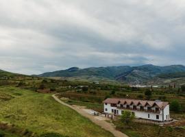 Pensiunea Casa Negrea，位于阿尔巴尤利亚的酒店