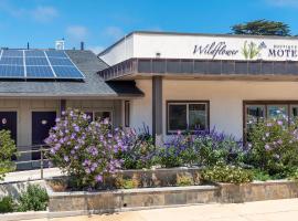 Wildflower Boutique Motel，位于波因特阿里纳的汽车旅馆