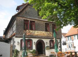 Burgmannenhaus，位于施泰瑙安德斯查瑟的酒店