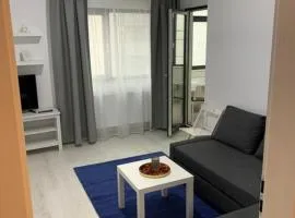 Apartment Pitesti