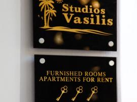 Studios Vasilis，位于埃亚玛琳娜奈奇多的公寓