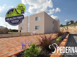 Pedernal Hotel，位于圣米格尔-德阿连德的酒店