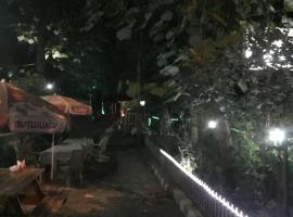 Saray otel restaurant，位于阿尔特温的酒店