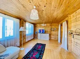Eco house