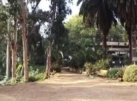 公园旅馆