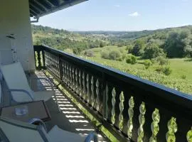 Apartma Gorca Plevnik