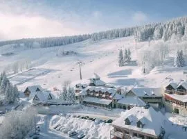 扎罗特科别墅及温泉度假村