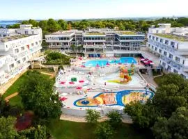 Hotel Delfin Plava Laguna，位于波雷奇的宠物友好酒店