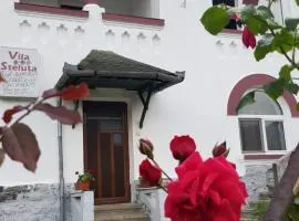 Vila Ana Lăcrămioara Concept