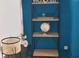 Bel appartement F2 centre ville