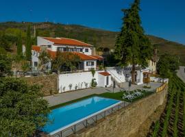 Quinta da Portela Douro，位于阿马马尔的带泳池的酒店