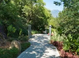 Gamma Monterrey Rincon de Santiago