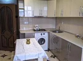 Vuqar's Apartment