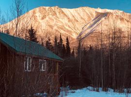 Wrangell Mountain Lodge- Private Bathroom with shower，位于McCarthy的山林小屋